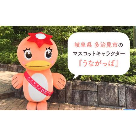 ふるさと納税 うながっぱティーセット ＆ コンパス紅茶セット 9 多治見市 /多治見市観光協会[TAQ005] 岐阜県多治見市_1