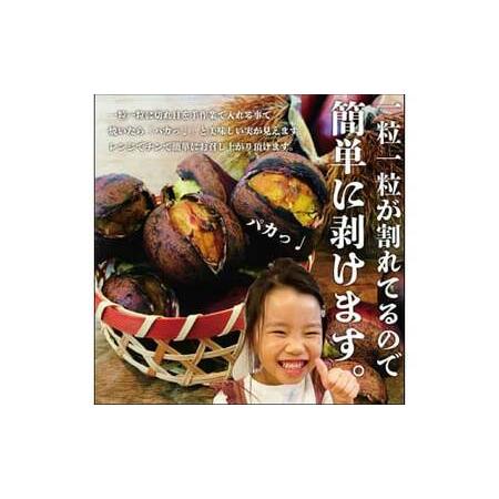 2025年収穫分 山鹿和栗 むき栗 2024年収穫分 山鹿和栗 むき栗 公式通販