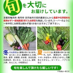 ふるさと納税 【6回定期便】有機蔬菜詰め合わせ＆卵 蔬菜 京都府亀岡市