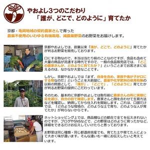 ふるさと納税 【6回定期便】有機蔬菜詰め合わせ＆卵 蔬菜 京都府亀岡市