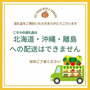 ふるさと納税 【6回定期便】有機蔬菜詰め合わせ＆卵 蔬菜 京都府亀岡市
