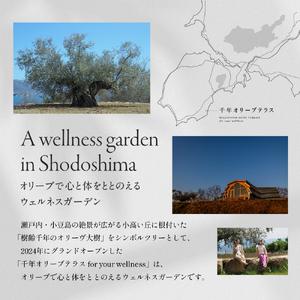 ふるさと納税 【 小豆島 】千年オリーブテラス for your wellness オリーブオイルテイスティング 講座 （入園つき） ペアチケット 旅行 旅 オリ.. 香川県土庄町の画像