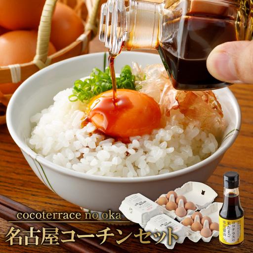 ふるさと納税 [高級]名古屋コーチンセット(2パックと醤油)[JGAP認証] 卵 卵かけご飯 TKG 高級卵かけご飯 朝食 朝ごはん 贈り物 ギフト た.. 愛知県常滑市