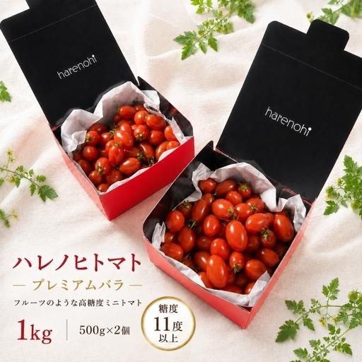 ふるさと納税 トマト ハレノヒトマト プレミアム 1kg 三重 トマト 三重県津市