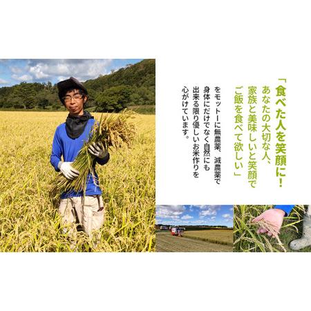 ふるさと納税 【2025年産】【定期便:全3回】 北海道産 特別栽培米 ゆめぴりか 5kg（無化学肥料・農薬不使用）【2511001】 北海道羽幌町の画像
