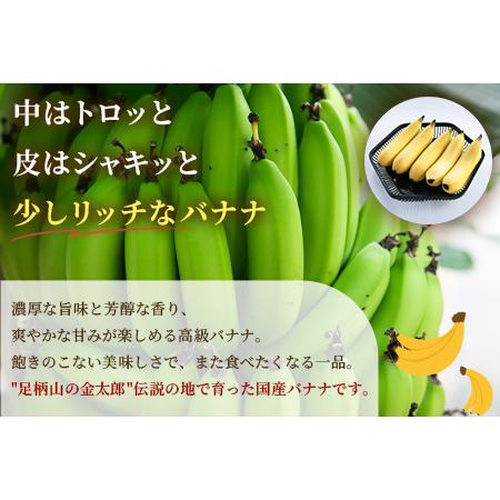 ふるさと納税 定期便:スタンダード 金太郎バナナ(25本) 5本×5 ふるさと納税 定期便:スタンダード 金太郎バナナ(25本) 5本×5