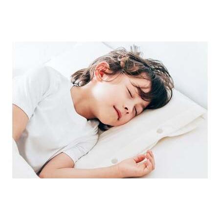 ふるさと納税 ブレインスリープ ピロー フォー キッズ ＋ カバー / 枕