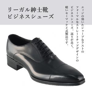 ふるさと納税 REGAL 紳士ビジネスシューズ ブラック21EL BDS 25.5cm ストレートチップ 革靴 数量限定 ファッション フォーマル スーツ 牛革 メン.. 岩手県奥州市の画像