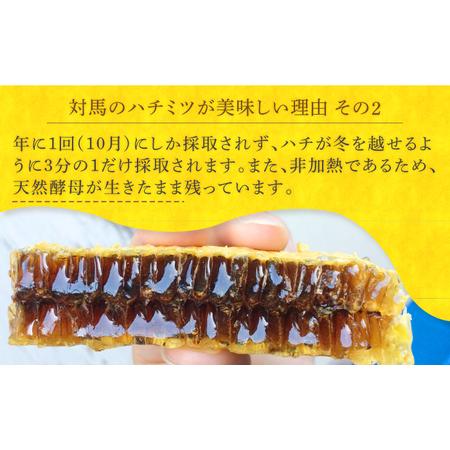ふるさと納税 国産はちみつ 600g [WAM010] はちみつはちみつはちみつはちみつはちみつはちみつはちみつはちみつはちみつ 長崎県対馬市の画像