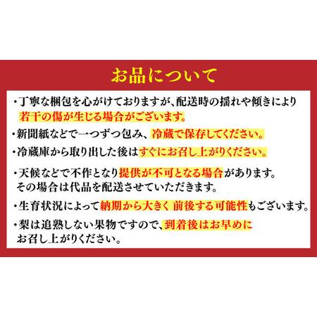 ふるさと納税 【家計お助け返礼品】【2025年発送 先行予約 ふるさと納税 【家計お助け返礼品】【2025年発送 先行予約