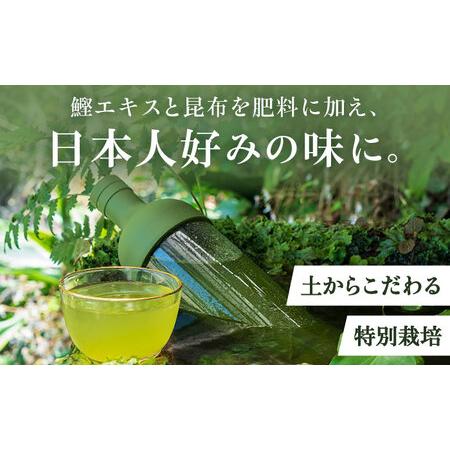 ふるさと納税 特選5種セット「雫」 計5袋/ お茶 / 白川製茶園 [41AIAB001] 佐賀県_2