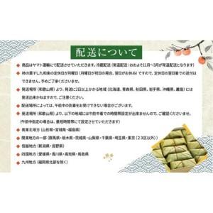 ふるさと納税 保存料無添加【柿の葉すし】20個入／3種詰合せ（鯖12・鮭4・椎茸4）［KW1］ 和歌山県高野町の画像