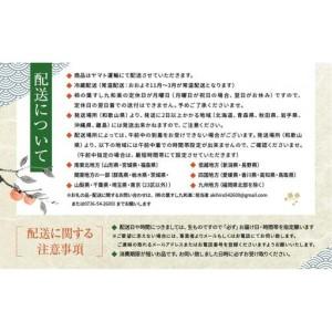 ふるさと納税 保存料無添加【柿の葉すし】20個入／4種詰合せ（鯖8・鯛4・鮭4・椎茸4）［KW2］ 和歌山県高野町の画像