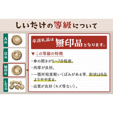 ふるさと納税 しいたけ 無印品 6M（約100g）×30パック 秋田県横手市_2
