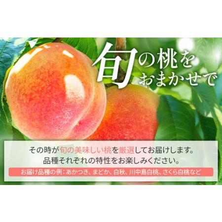 ふるさと納税 ＜先行受付 8月中旬より発送＞横手産の桃（大玉）約2kg（6個入） 秋田県横手市の画像