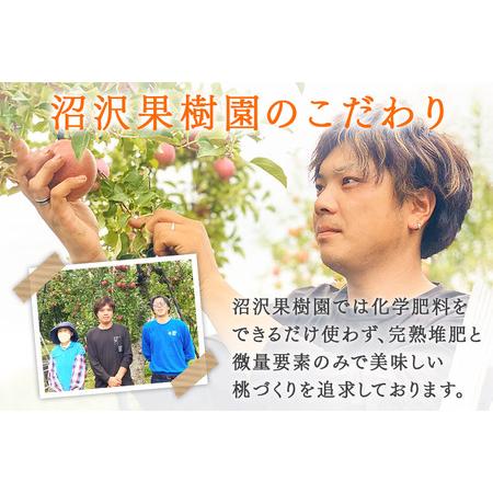 ふるさと納税 《先行受付！8月上旬より順次発送》夏の太陽をたくさん浴びた桃 あかつき 約3kg（9〜13玉前後） 秋田県横手市の画像