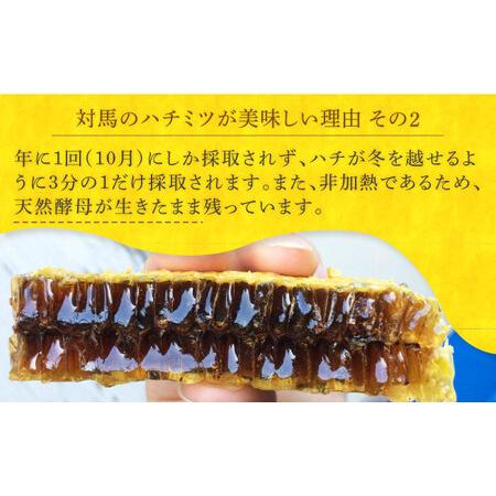 ふるさと納税 対馬 はちみつ 600g×2  蜂蜜 ハチミツ 日本ミツバチ 二ホンミツバチ [WAM030] 長崎県対馬市の画像
