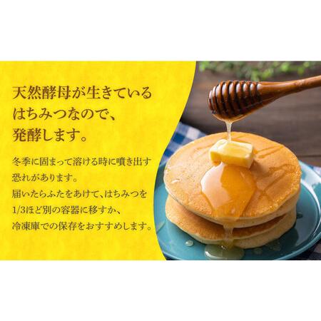 ふるさと納税 対馬 はちみつ 600g×2  蜂蜜 ハチミツ 日本ミツバチ 二ホンミツバチ [WAM030] 長崎県対馬市の画像