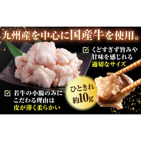 ふるさと納税 【全6回定期便】【年間100万食販売！】博多もつ鍋 おおやま もつ鍋 みそ味 3人前 桂川町/株式会社ラブ [ADBQ019] もつなべ モツ 鍋.. 福岡県桂川町の画像
