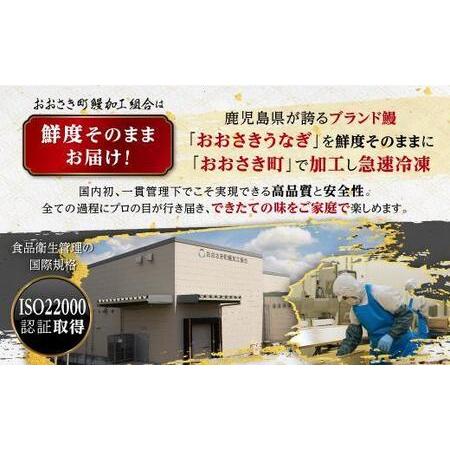 ふるさと納税 【ふるなび限定】国産 うなぎ 長蒲焼 たれ たっぷり 8袋付！140g×4尾（計560g）FN-Limited ｜うなぎ 鹿児島県大崎町_1