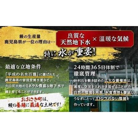 ふるさと納税 【ふるなび限定】国産 うなぎ 長蒲焼 たれ たっぷり 8袋付！140g×4尾（計560g）FN-Limited ｜うなぎ 鹿児島県大崎町_2