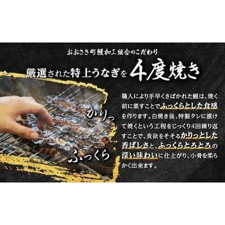 ふるさと納税 【ふるなび限定】国産 うなぎ 長蒲焼 たれ たっぷり 8袋付！140g×4尾（計560g）FN-Limited ｜うなぎ 鹿児島県大崎町_3