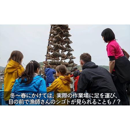ふるさと納税 あなたの知らないホタテの世界（5人用）  北海道豊浦町_3