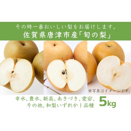 ふるさと納税 今が食べ頃 特栽 旬の梨5kgフルーツ 果物 ギフト「2022年 令和4年」 佐賀県唐津市|furunavi|02