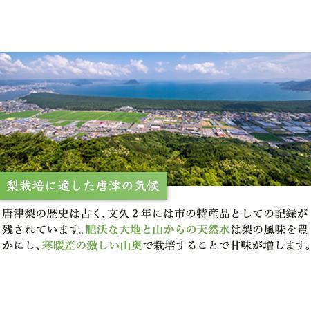 ふるさと納税 今が食べ頃 特栽 旬の梨5kgフルーツ 果物 ギフト「2022年 令和4年」 佐賀県唐津市|furunavi|03