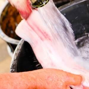 ふるさと納税 定期便 6回 うなぎ 職人による手焼き うなぎの蒲焼き 定期便(1尾×6ヵ月) ウナギ 福岡県小郡市_1