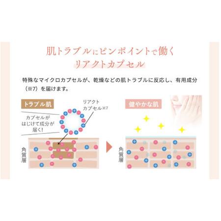 ふるさと納税 サスティア プラス オールインワンジェル 糸島市 / 株式会社ピュール オールインワン スキンケア [AZA201] 福岡県糸島市_3