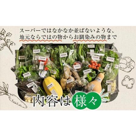 ふるさと納税 【定期便全12回】旬の採れたて 7〜10種類お野菜詰め合わせセット(1〜2名様) TAGATAME タガタメ【野菜 特別栽培  有機野菜 農薬不.. 香川県さぬき市の画像