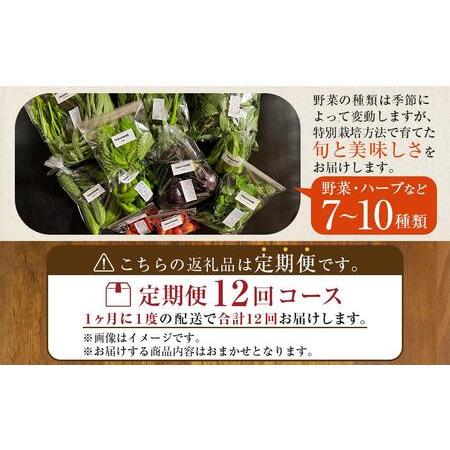 ふるさと納税 【定期便全12回】旬の採れたて 7〜10種類お野菜詰め合わせセット(1〜2名様) TAGATAME タガタメ【野菜 特別栽培  有機野菜 農薬不.. 香川県さぬき市の画像