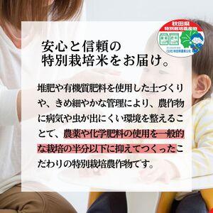 ふるさと納税 米 あきたこまち 20kg (5kg×4袋) 令和7年産 米屋が認めたお米 かとうくん 白米 精米 こめ お米 おこめ 令和7年 特別栽培米 産.. 秋田県能代市の画像