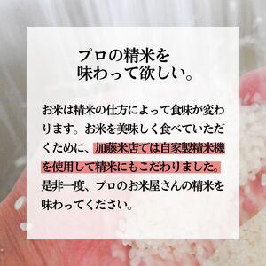 ふるさと納税 米 あきたこまち 20kg (5kg×4袋) 令和7年産 米屋が認めたお米 かとうくん 白米 精米 こめ お米 おこめ 令和7年 特別栽培米 産.. 秋田県能代市の画像