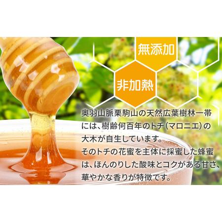 ふるさと納税 宮城・栗駒高原のトチの木（マロニエ）の純粋蜂蜜 1kg×1本 宮城県栗原市の画像