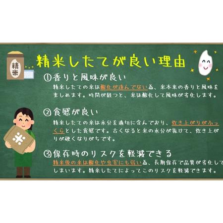 ふるさと納税 ひとめぼれ 無洗米 令和7年産 盛岡市産 5kg×2 定期便 2ヵ月 新鮮 発送日精米 1等米のみを使用したお米マイスター監修の米 お.. 岩手県盛岡市の画像