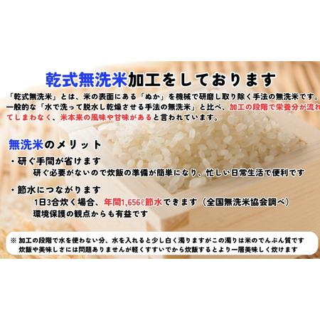 ふるさと納税 銀河のしずく 無洗米 5kg×2 定期便 2ヵ月 合計20kg 令和7年産 盛岡市産 米 お米 精米 白米 特A 7年連続獲得中 発送日精米 1等.. 岩手県盛岡市の画像