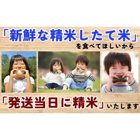 ふるさと納税 銀河のしずく 5分づき精米 令和7年産 盛岡市産 5kg×2 定期便 2ヵ月 特A 7年連続獲得中 美味しさ 新鮮 発送日精米 1等米のみを.. 岩手県盛岡市の画像