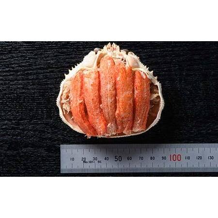 ふるさと納税 北海道産 オオズワイガニ甲羅盛（約80-90g）×4個※かにみそ無し＜道産ネットミツハシ＞ かに カニ ズワイ蟹 北海道 森町 ふるさ.. 北海道森町_3