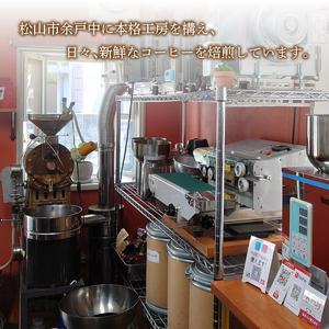 ふるさと納税 【ご自宅用】自家焙煎コーヒー 粉 200g　中煎り　坊っちゃん珈琲 |コーヒーコーヒーコーヒーコーヒーコーヒーコーヒー【CK021】 愛媛県松山市