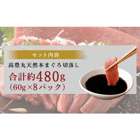 ふるさと納税 天然本マグロ切り落とし480g【まぐろ】tk184 高知県室戸市_4