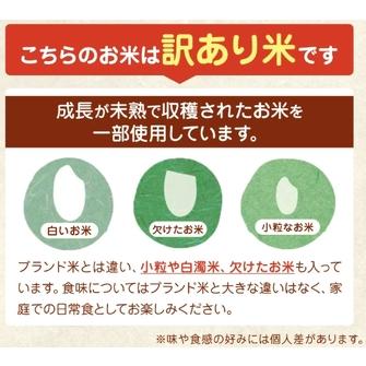 ふるさと納税 令和7年産 熊本県産 ほたるの灯り 無洗米 15kg | 選べる 銘柄 ほたるの灯り 森のくまさん 容量 5kg 10kg 15kg 20kg 25kg 30kg特A .. 熊本県和水町_1