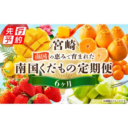 ふるさと納税 フルーツ 果物 フルーツ[2027年発送先行予約 定期便 6ヶ月] 宮崎県宮崎市