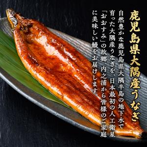 ふるさと納税 【E57005】＜定期便・計3回(年代順の継続)＞ウナギ蒲焼・大(有頭)(5尾・計800g以上×3回、タレ、山椒付)鹿児島 国産 鰻 ウナギ ウナ.. 鹿児島県肝付町