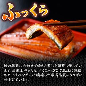 ふるさと納税 【E57005】＜定期便・計3回(年代順の継続)＞ウナギ蒲焼・大(有頭)(5尾・計800g以上×3回、タレ、山椒付)鹿児島 国産 鰻 ウナギ ウナ.. 鹿児島県肝付町