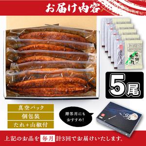 ふるさと納税 【E57005】＜定期便・計3回(年代順の継続)＞ウナギ蒲焼・大(有頭)(5尾・計800g以上×3回、タレ、山椒付)鹿児島 国産 鰻 ウナギ ウナ.. 鹿児島県肝付町