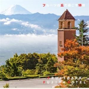 ふるさと納税 フルーツパーク富士屋ホテル　昼食付日帰り温泉プラン　【ご昼食＋日帰り入浴】2名様分【1549684】 山梨県山梨市_3