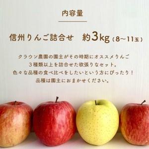 ふるさと納税 りんごの宝石箱 信州りんご詰合せ 海外並行輸入正規品 