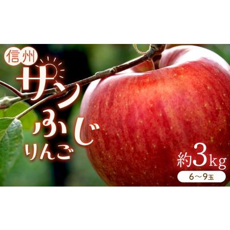 ふるさと納税 サンふじりんご 低価格化 店舗 約3kg 長野県千曲市 6〜9玉